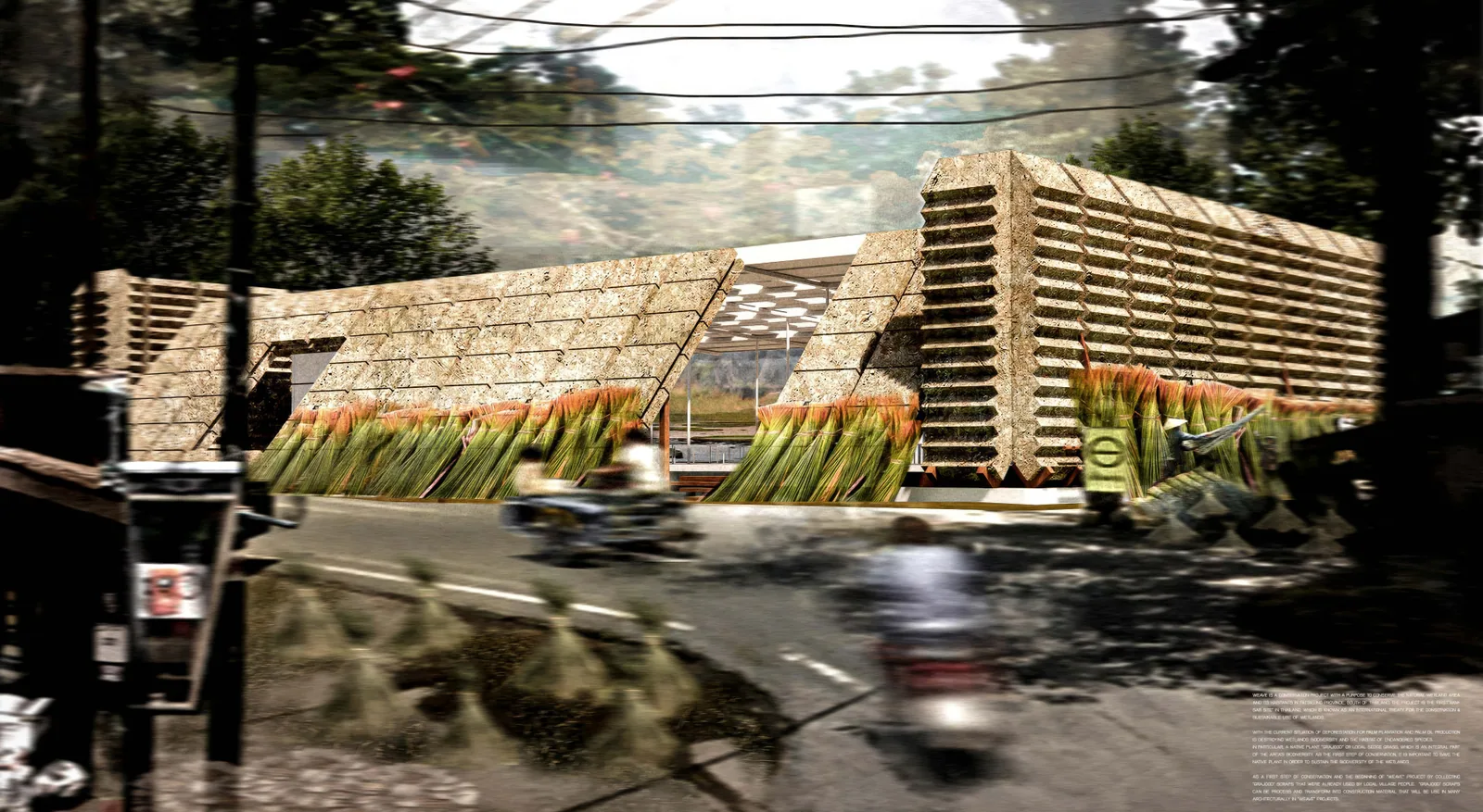 Weave — wetland conservation architecture using krajud sedge