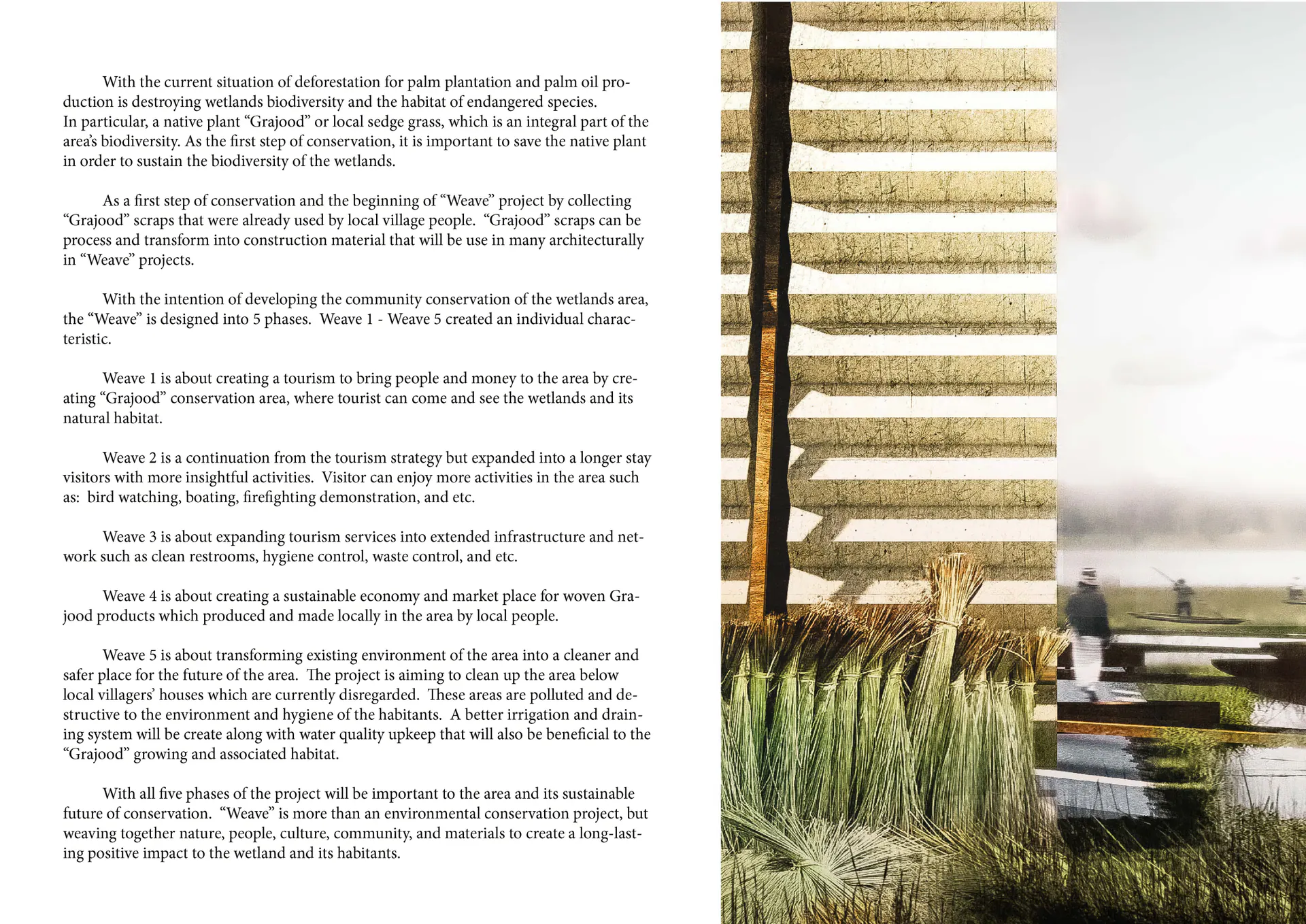 Weave project wetland research and architectural proposal